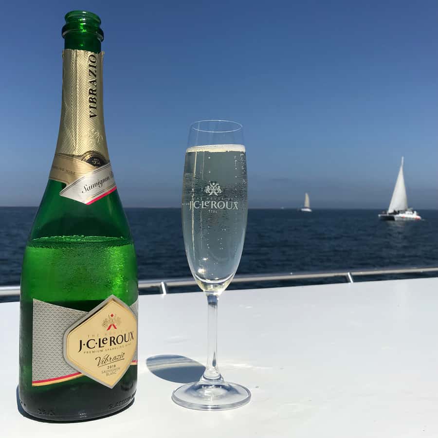 Walvis Bay: Marine Big 5 Luxury Catamaran Tour - Pelicans, cormorants, and the best close-up moments