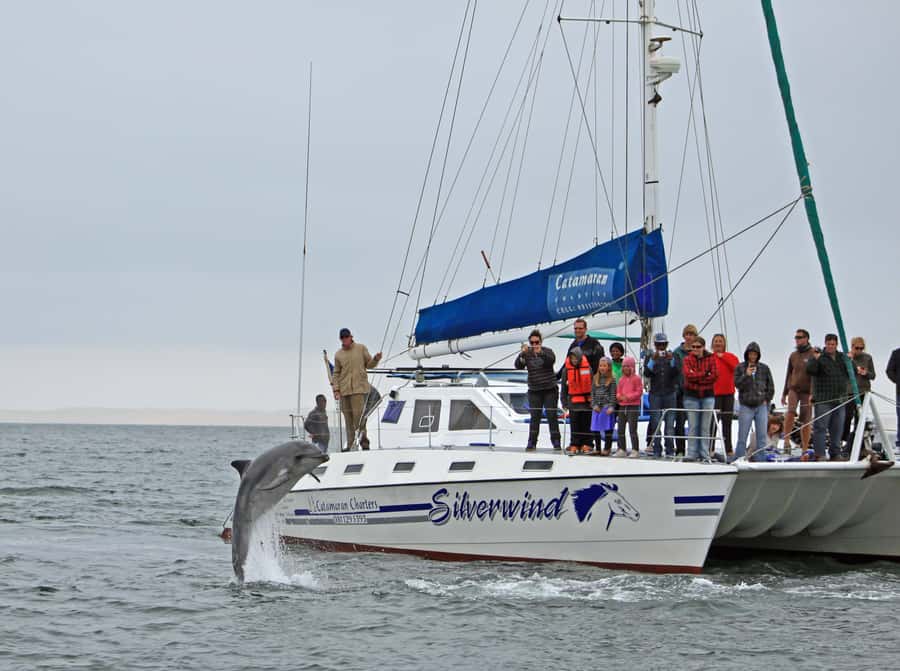 Walvis Bay: Marine Big 5 Luxury Catamaran Tour - Lunch on the way back