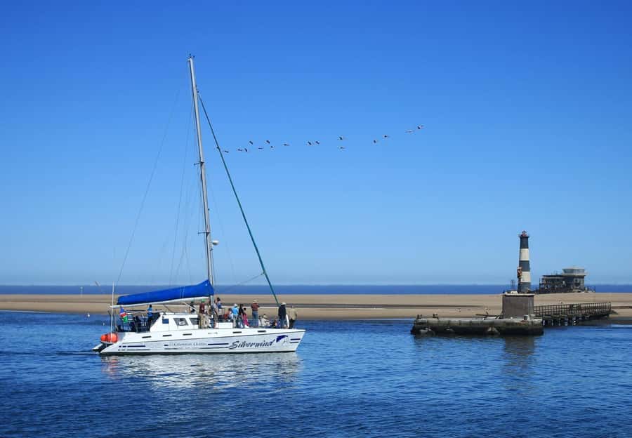 Walvis Bay: Marine Big 5 Luxury Catamaran Tour - Is $76 good value?