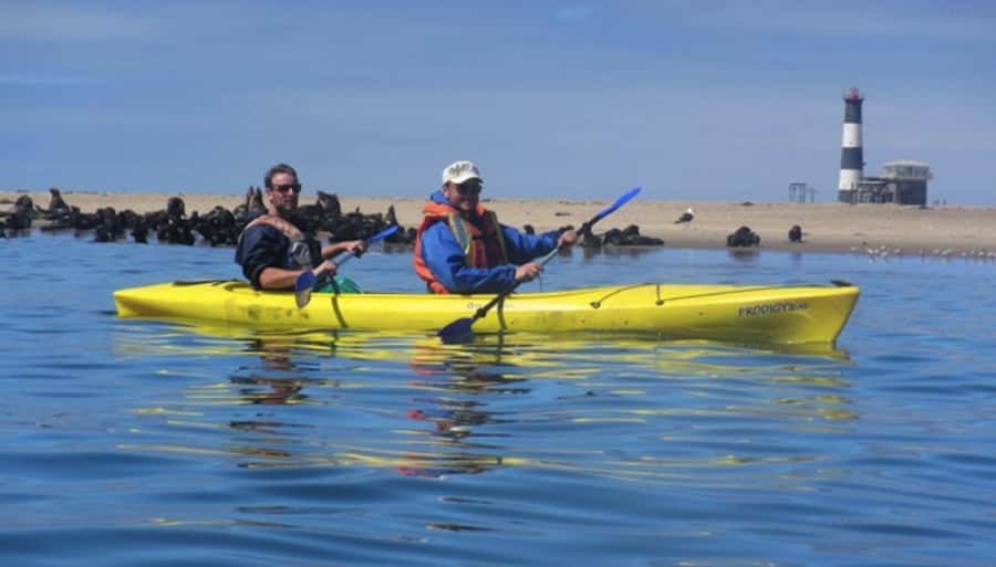 Walvis Bay: Pelican Point Kayaking Tour - Why Pelican Point makes such a good kayaking spot