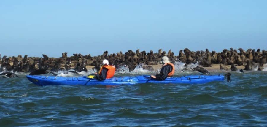 Walvis Bay: Pelican Point Kayaking Tour - Getting onto the water at Pelican Point
