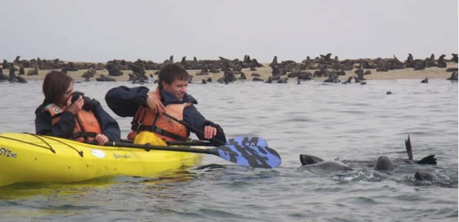 Walvis Bay: Pelican Point Kayaking Tour - The morning 4x4 ride across Walvis Bay