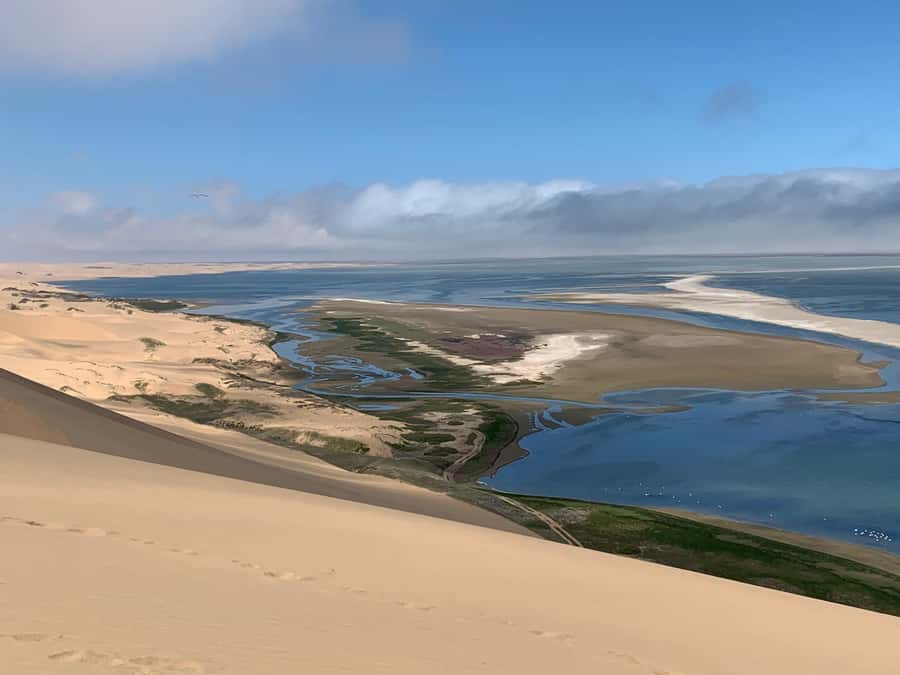 Walvis Bay: Pelican Point Seal and Sandwich Harbour Tour - Key points at a glance