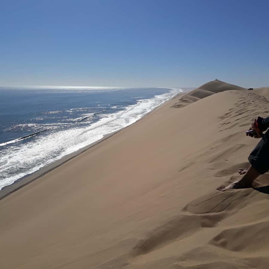 Walvis Bay: Pelican Point Seal and Sandwich Harbour Tour - The !Nara Valley game drive