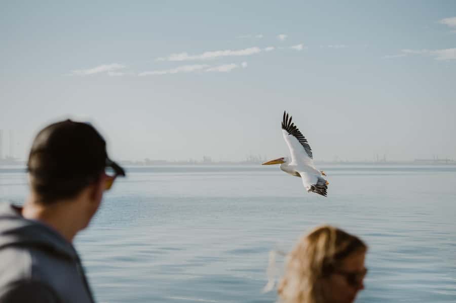 Walvis Bay: Sandwich Harbour 4x4 Trip with Beach BBQ Lunch - The beach BBQ lunch is more than a packed meal