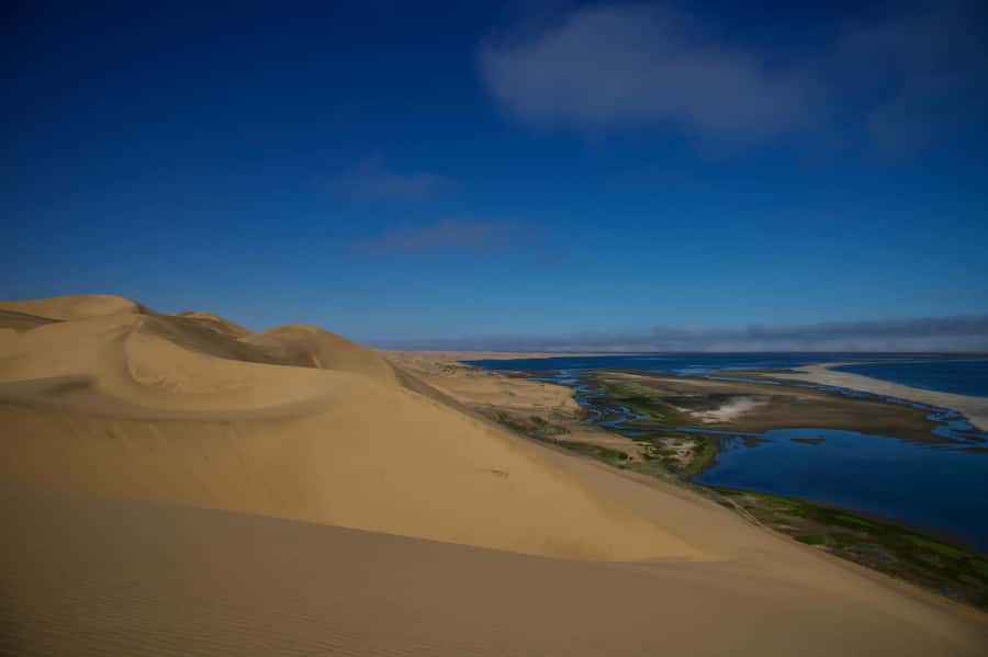 Walvis Bay: Sandwich Harbour Half-Day 4x4 Scenic Excursion - Key points at a glance