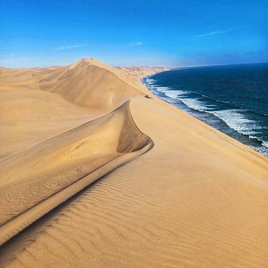 Walvis Bay: Sandwich Harbour Half-Day 4x4 Scenic Excursion - What to pack and what to leave behind