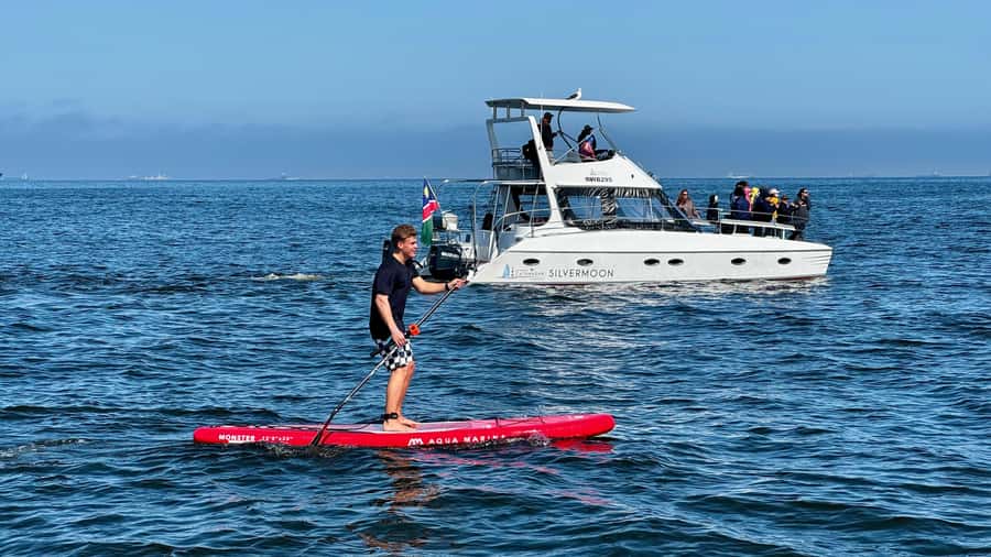 Walvis Bay: Seal Kayaking Adventure with Brunch - Key points to know before booking