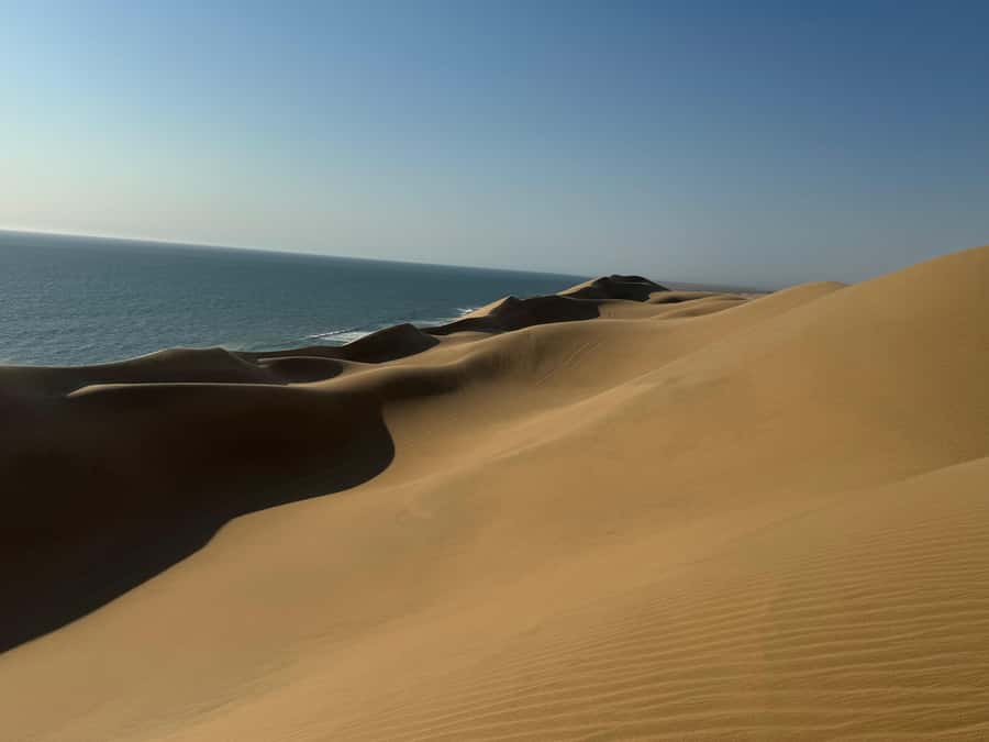 Walvisbay: Sandwich Harbour SUNSET Tour-End It Beautifully - Wildlife sightings are possible, not promised