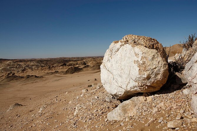 Welwitschia Tour from Swakopmund - Why the Moon Landscape is worth four hours