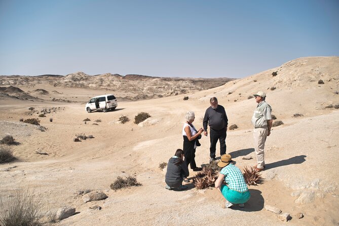 Welwitschia Tour from Swakopmund - What you see at the Moon Landscape