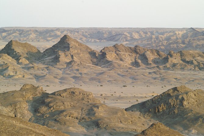 Welwitschia Tour from Swakopmund - Welwitschia plants are the real botanical prize