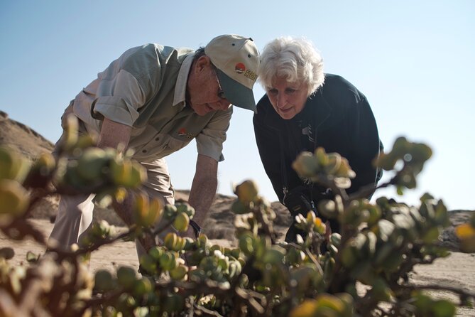 Welwitschia Tour from Swakopmund - The guide can make or break this short outing