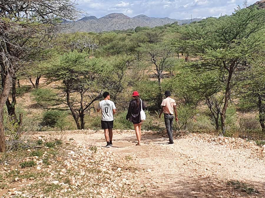 Windhoek: Bushman Walk with the San - The two-hour bushwalk and its demonstrations