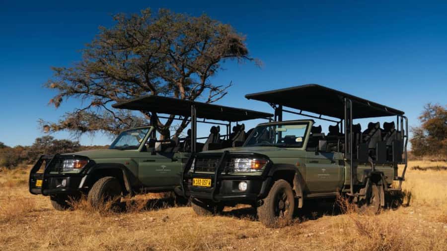 Zannier Game Drive with Hotel Pickup - What the 3.5-hour game drive is really like